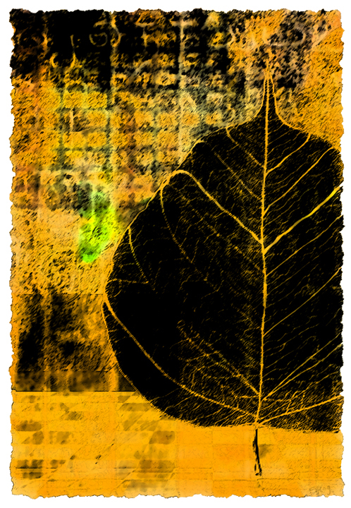 limited edition print: A LEAF FALLS IN THE CITY